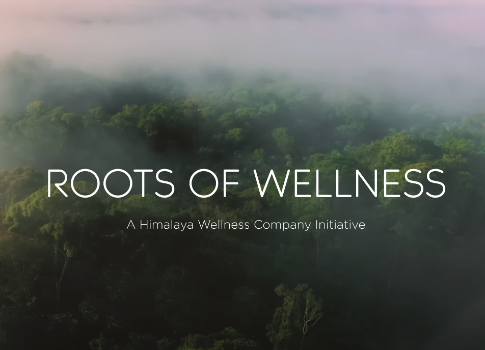 Himalaya – One Million Trees